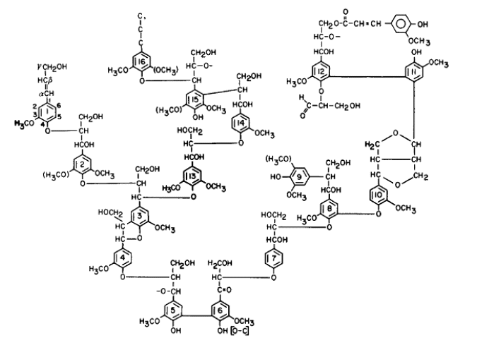 Estructura química de la Lignina